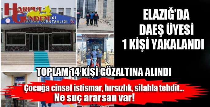 Elazığ'da terör örgütü DEAŞ üyesi 1 kişi yakalandı